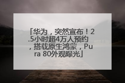 华为，突然宣布！2.5小时超4万人预约，搭载原生鸿蒙，Pura 80外观曝光