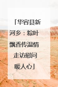 华容县新河乡：粽叶飘香传温情 走访慰问暖人心