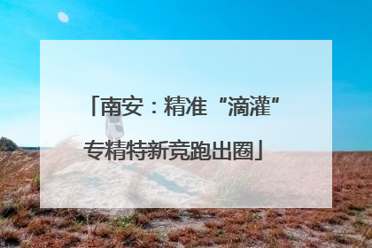 南安：精准“滴灌”专精特新竞跑出圈