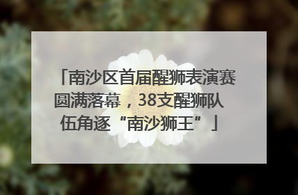 南沙区首届醒狮表演赛圆满落幕，38支醒狮队伍角逐“南沙狮王”