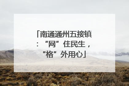 南通通州五接镇：“网”住民生，“格”外用心