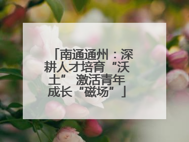 南通通州：深耕人才培育“沃土” 激活青年成长“磁场”