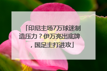 印尼主场7万球迷制造压力？伊万亮出底牌，国足主打进攻