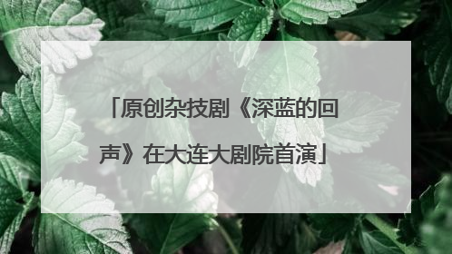 原创杂技剧《深蓝的回声》在大连大剧院首演