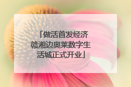 做活首发经济 赣湘边奥莱数字生活城正式开业