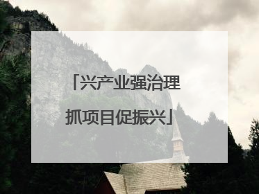兴产业强治理 抓项目促振兴