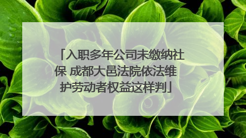 入职多年公司未缴纳社保 成都大邑法院依法维护劳动者权益这样判