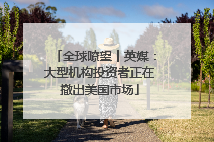 全球瞭望丨英媒：大型机构投资者正在撤出美国市场