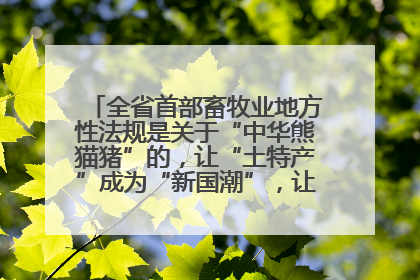 全省首部畜牧业地方性法规是关于“中华熊猫猪”的，让“土特产”成为“新国潮”，让“农产品”升格为“城市IP”