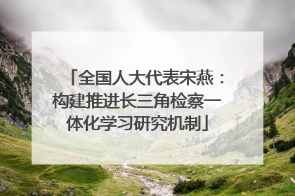 全国人大代表宋燕：构建推进长三角检察一体化学习研究机制
