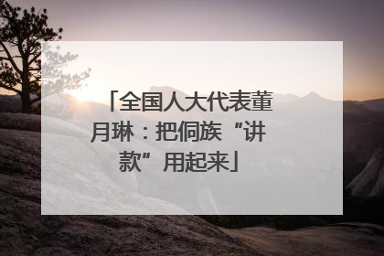 全国人大代表董月琳：把侗族“讲款”用起来
