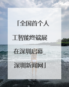 全国首个人工智能终端展在深圳启幕_深圳新闻网
