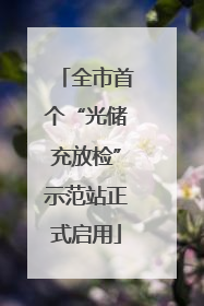 全市首个“光储充放检”示范站正式启用