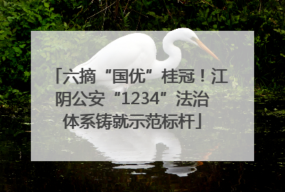 六摘“国优”桂冠！江阴公安“1234”法治体系铸就示范标杆