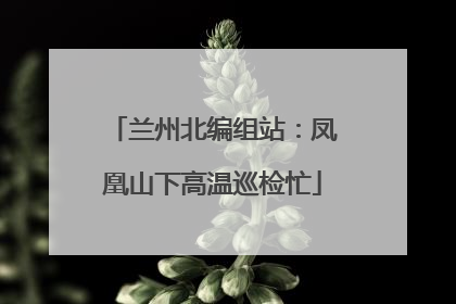 兰州北编组站：凤凰山下高温巡检忙