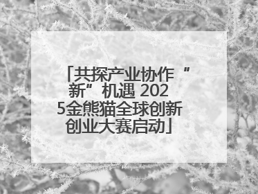 共探产业协作“新”机遇 2025金熊猫全球创新创业大赛启动