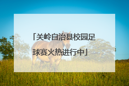 关岭自治县校园足球赛火热进行中