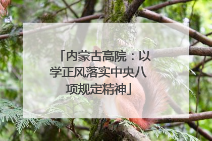 内蒙古高院：以学正风落实中央八项规定精神