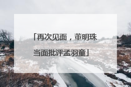 再次见面，董明珠当面批评孟羽童