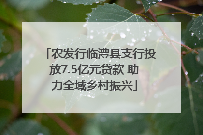 农发行临澧县支行投放7.5亿元贷款 助力全域乡村振兴