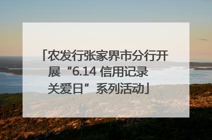 农发行张家界市分行开展“6.14 信用记录关爱日”系列活动