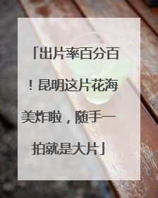 出片率百分百！昆明这片花海美炸啦，随手一拍就是大片