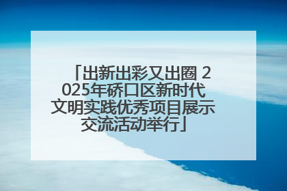 出新出彩又出圈 2025年硚口区新时代文明实践优秀项目展示交流活动举行