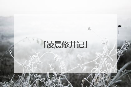 凌晨修井记