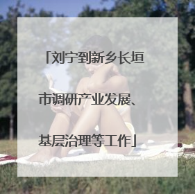 刘宁到新乡长垣市调研产业发展、基层治理等工作