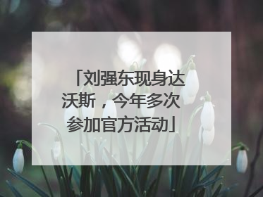 刘强东现身达沃斯，今年多次参加官方活动