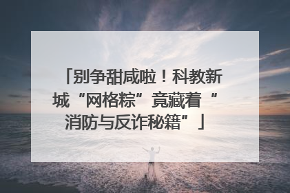 别争甜咸啦！科教新城“网格粽”竟藏着“消防与反诈秘籍”