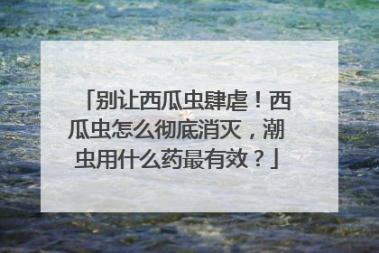 别让西瓜虫肆虐！西瓜虫怎么彻底消灭，潮虫用什么药最有效？