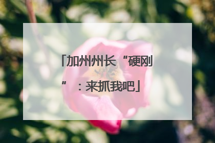 加州州长“硬刚”：来抓我吧