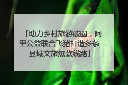 助力乡村旅游破圈，阿里公益联合飞猪打造多条县域文旅爆款线路
