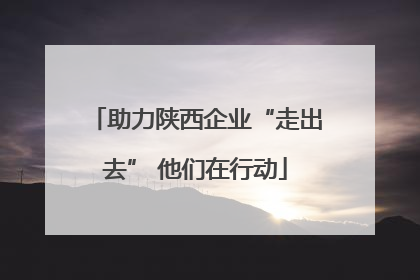 助力陕西企业“走出去” 他们在行动