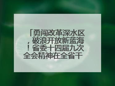 勇闯改革深水区，破浪开放新蓝海！省委十四届九次全会精神在全省干部群众中引发热烈反响