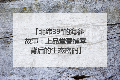 北纬39°的海参故事：上品堂春捕季背后的生态密码