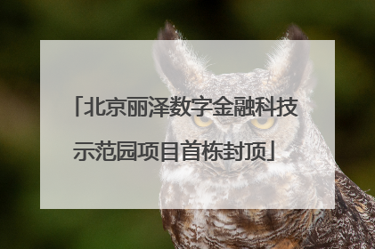北京丽泽数字金融科技示范园项目首栋封顶