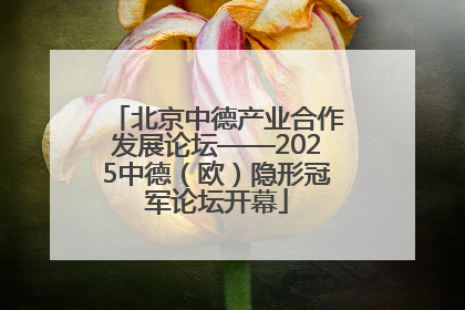 北京中德产业合作发展论坛——2025中德（欧）隐形冠军论坛开幕