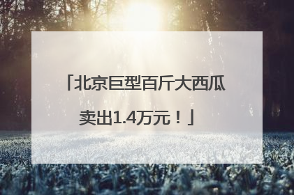 北京巨型百斤大西瓜卖出1.4万元！