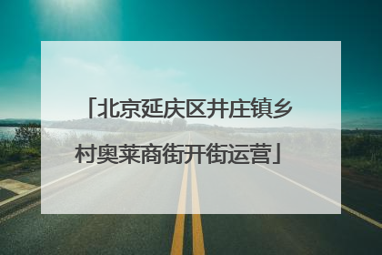北京延庆区井庄镇乡村奥莱商街开街运营