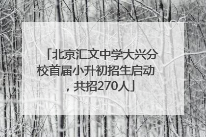 北京汇文中学大兴分校首届小升初招生启动，共招270人