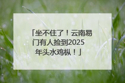 坐不住了！云南易门有人捡到2025年头水鸡枞！