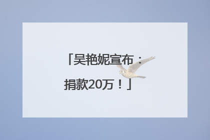 吴艳妮宣布：捐款20万！