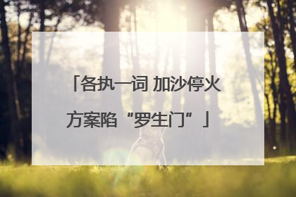 各执一词 加沙停火方案陷“罗生门”