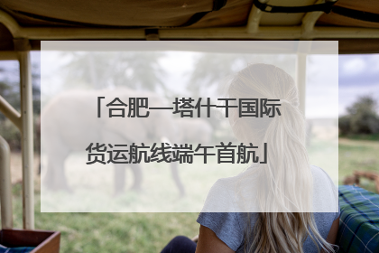合肥—塔什干国际货运航线端午首航