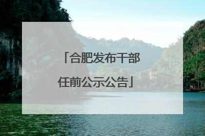合肥发布干部任前公示公告