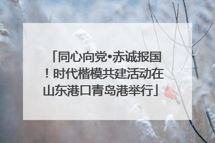 同心向党•赤诚报国！时代楷模共建活动在山东港口青岛港举行