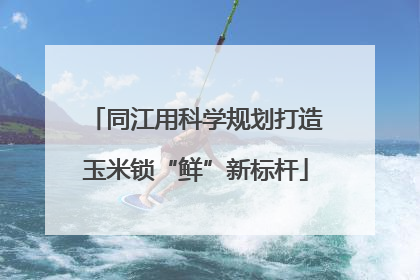 同江用科学规划打造玉米锁“鲜”新标杆