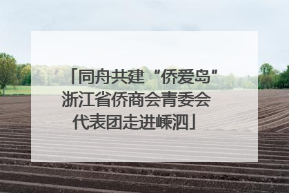 同舟共建“侨爱岛” 浙江省侨商会青委会代表团走进嵊泗